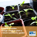 Close-up of seedlings in dirt; yellow box with text across the bottom: $5/week provides enough seeds to plant a 2-block community garden