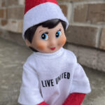 Headshot of Elf on the Shelf Charity Givesalot